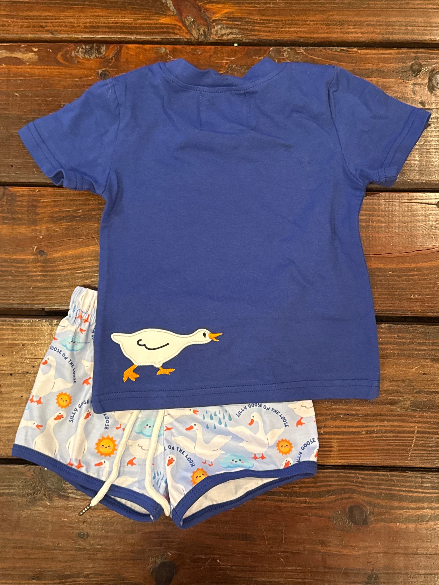 Silly goose on the loose boy shorts set